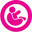 Precious Cargo logo
